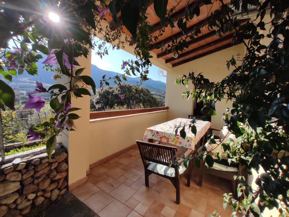Agriturismo Asara Padru Dış mekan fotoğraf