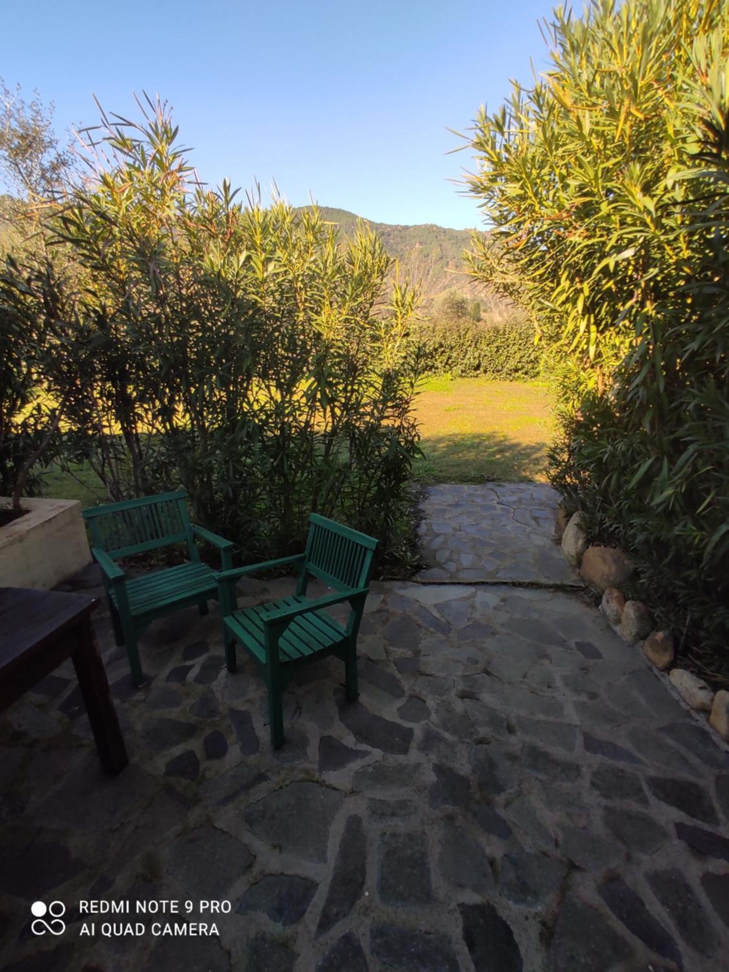 Agriturismo Asara Padru Dış mekan fotoğraf